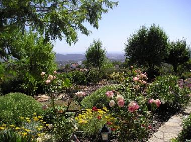 Ferienwohnung in Loule (Algarve) oder Ferienwohnung oder Ferienhaus
