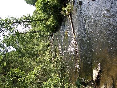 Ferienwohnung in Ruhmannsfelden (Niederbayern) oder Ferienwohnung oder Ferienhaus