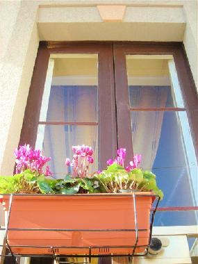 Ferienwohnung in Marina di Ragusa (Ragusa) oder Ferienwohnung oder Ferienhaus