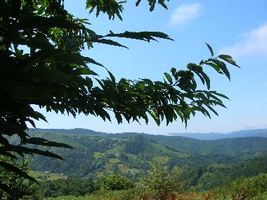Ferienhaus in Etxalar (Guip�zcoa) oder Ferienwohnung oder Ferienhaus