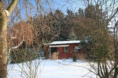 Winterimpressionen