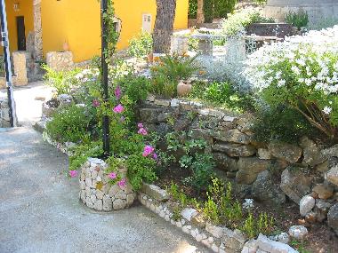 Ferienwohnung in Vis (Splitsko-Dalmatinska) oder Ferienwohnung oder Ferienhaus