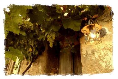 Ferienhaus in Macerata Feltria (Pesaro e Urbino) oder Ferienwohnung oder Ferienhaus