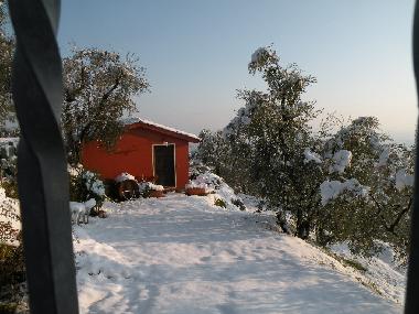 Ferienhaus in Montecatini Terme (Pistoia) oder Ferienwohnung oder Ferienhaus