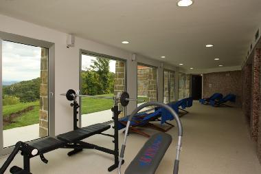 Hier gibt es auch eine Finnische Sauna, ein Dampfbad, Stepper und einen Fitnessbereich mit Hanteln. 