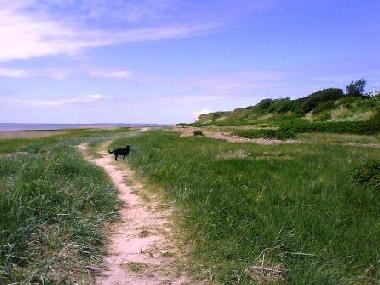 Ferienhaus in H�jer (Sonderjylland) oder Ferienwohnung oder Ferienhaus