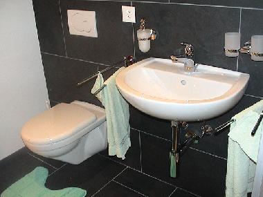 Ferienwohnung in Tschlin (Scuol) oder Ferienwohnung oder Ferienhaus