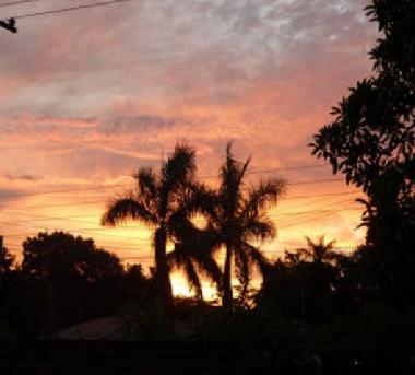 Die untergehende Sonne mit Palmenansicht