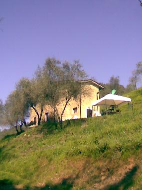 Ferienhaus in Montemagno (Lucca) oder Ferienwohnung oder Ferienhaus