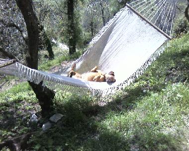 Ferienhaus in Montemagno (Lucca) oder Ferienwohnung oder Ferienhaus