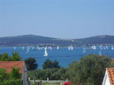 Pension in Sv. Filip i Jakov (Zadarska) oder Ferienwohnung oder Ferienhaus