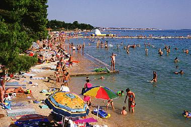 Pension in Sv. Filip i Jakov (Zadarska) oder Ferienwohnung oder Ferienhaus