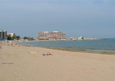 Ferienwohnung in Torrevieja (Alicante / Alacant) oder Ferienwohnung oder Ferienhaus