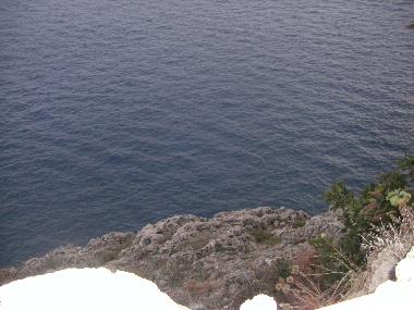 Bild aus der Umgebung