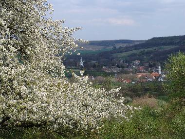 Ferienhaus in Kapolcs  (Veszprem) oder Ferienwohnung oder Ferienhaus