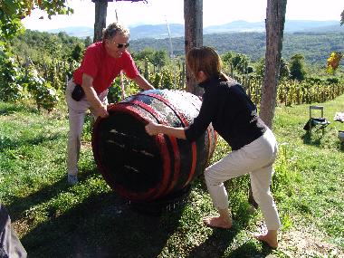 Ferienhaus in Kapolcs  (Veszprem) oder Ferienwohnung oder Ferienhaus