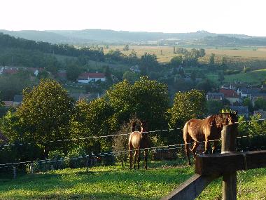 Ferienhaus in Kapolcs  (Veszprem) oder Ferienwohnung oder Ferienhaus