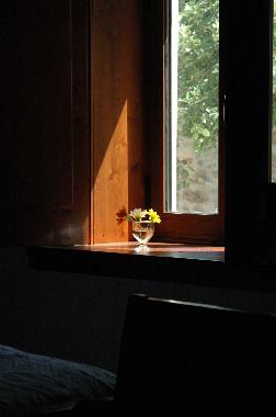 Ferienhaus in Figueir� dos Vinhos (Pinhal Interior Norte) oder Ferienwohnung oder Ferienhaus