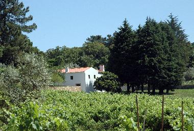Ferienhaus in Figueir� dos Vinhos (Pinhal Interior Norte) oder Ferienwohnung oder Ferienhaus