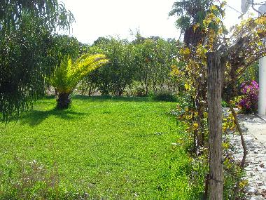 Ferienwohnung in Porto Covo (Alentejo Litoral) oder Ferienwohnung oder Ferienhaus
