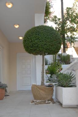 Ferienhaus in Igrane  (Splitsko-Dalmatinska) oder Ferienwohnung oder Ferienhaus