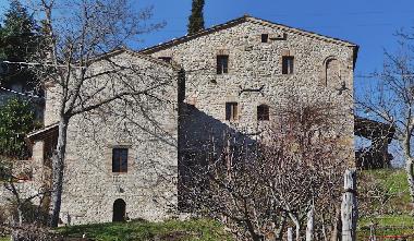 Blick vom Garten aus