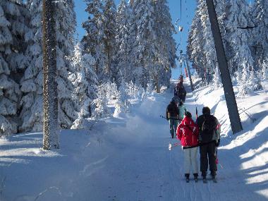Ferienwohnung in Oberwiesenthal (Erzgebirge) oder Ferienwohnung oder Ferienhaus