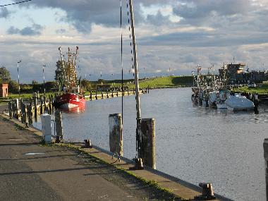 Ferienhaus in Friedrichskoog (Nordsee-Festland) oder Ferienwohnung oder Ferienhaus