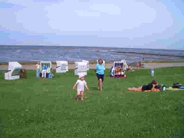 Ferienhaus in Friedrichskoog (Nordsee-Festland) oder Ferienwohnung oder Ferienhaus