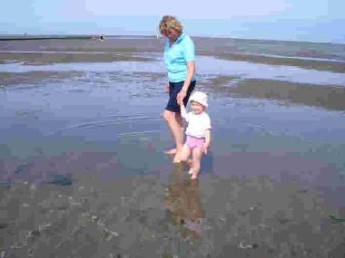 Ferienhaus in Friedrichskoog (Nordsee-Festland) oder Ferienwohnung oder Ferienhaus
