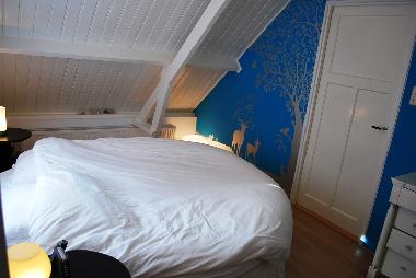 Ferienhaus in Hoek (Zeeland) oder Ferienwohnung oder Ferienhaus