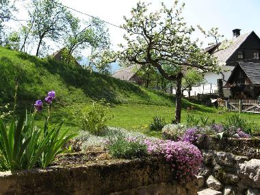 Pension in Bohinjsko Jezero (Bohinj) oder Ferienwohnung oder Ferienhaus