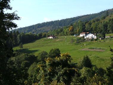 Chalet in Saulxures-sur-Moselotte (Vosges) oder Ferienwohnung oder Ferienhaus