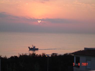 Ferienwohnung in OLIVA (Valencia / Valncia) oder Ferienwohnung oder Ferienhaus