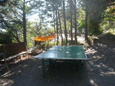 Hinter der Tischtennisplatte liegt der Pool.