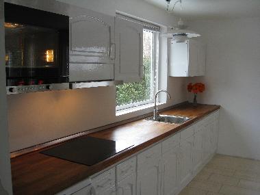 Ferienhaus in Ish�j (Kobenhavn) oder Ferienwohnung oder Ferienhaus