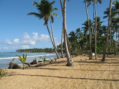Ferienhaus in LAS TERRENAS (Samana) oder Ferienwohnung oder Ferienhaus