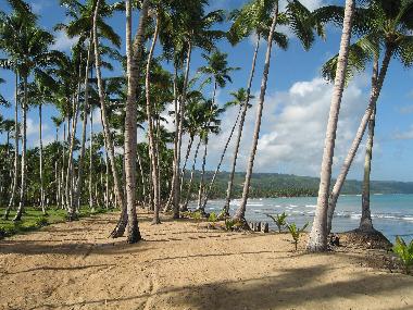 Ferienhaus in LAS TERRENAS (Samana) oder Ferienwohnung oder Ferienhaus