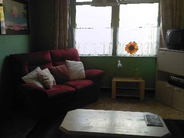 Ferienhaus in COLIJNSPLAAT (Zeeland) oder Ferienwohnung oder Ferienhaus