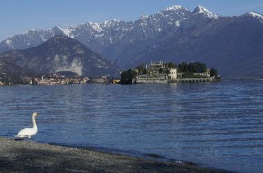 Ferienwohnung in Stresa (Verbano-Cusio-Ossola) oder Ferienwohnung oder Ferienhaus