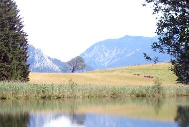 Ferienwohnung in R�th (Linz-Wels) oder Ferienwohnung oder Ferienhaus