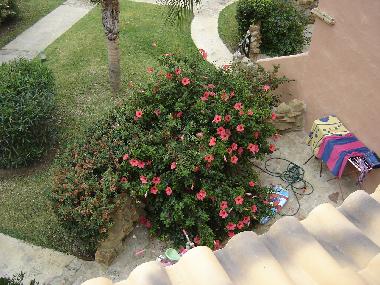 Blick von der oberen Terasse auf den Garten