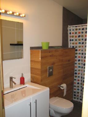 Ferienhaus in Laugarvatn (Arnessysla) oder Ferienwohnung oder Ferienhaus