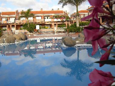 Ferienwohnung in costadelsilencio (Teneriffa) oder Ferienwohnung oder Ferienhaus