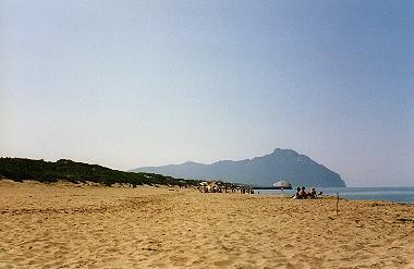 Strand in der N�he der Property