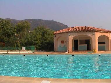 Der Pool