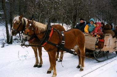Ferienhaus in Lechbruck am See (Bayerische Schwaben) oder Ferienwohnung oder Ferienhaus