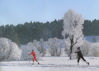 Ferienhaus in Lechbruck am See (Bayerische Schwaben) oder Ferienwohnung oder Ferienhaus