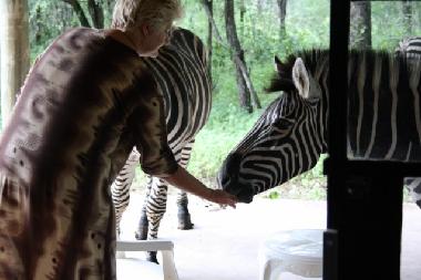 Ferienhaus in Marloth park (Mpumalanga) oder Ferienwohnung oder Ferienhaus