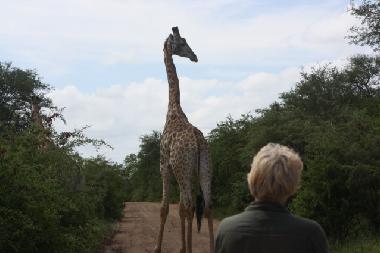 Ferienhaus in Marloth park (Mpumalanga) oder Ferienwohnung oder Ferienhaus